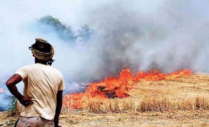 किसानों ने खेतों में पराली जलाई तो अफसर भरेंगे जुर्माना