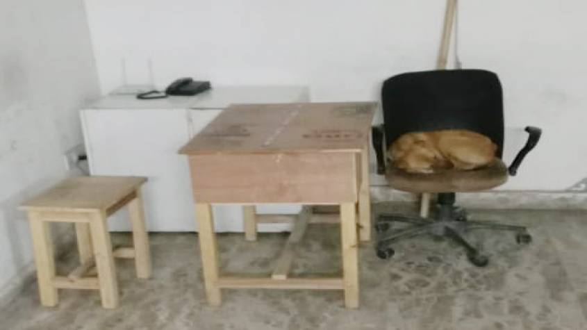 ग्रेटर नोएडा वेस्ट की इस सोसायटी का हाल देखिए, गार्ड की कुर्सी पर सोता है कुत्ता, पार्किंग बनी डंपिंग यार्ड लेकिन बिल्डर ने बढ़ाया मेंटिनेंस चार्ज